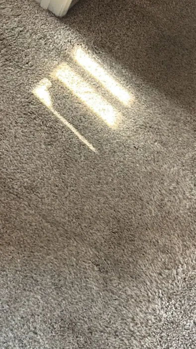 SuperDry Flood Cleanup Picture 10