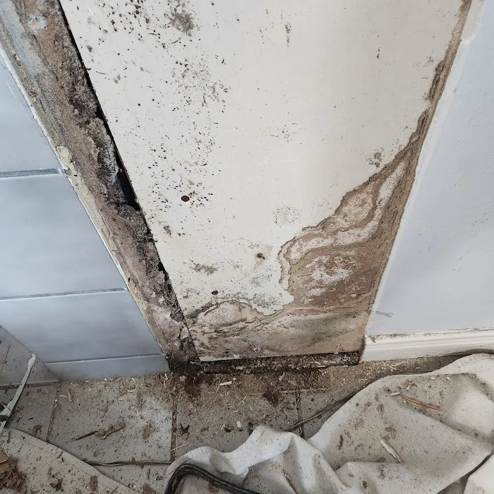 Restoration1 Picture 3