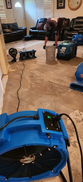 Restoration1 Picture 2