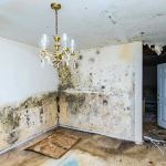 Allen Water Damage Restoration