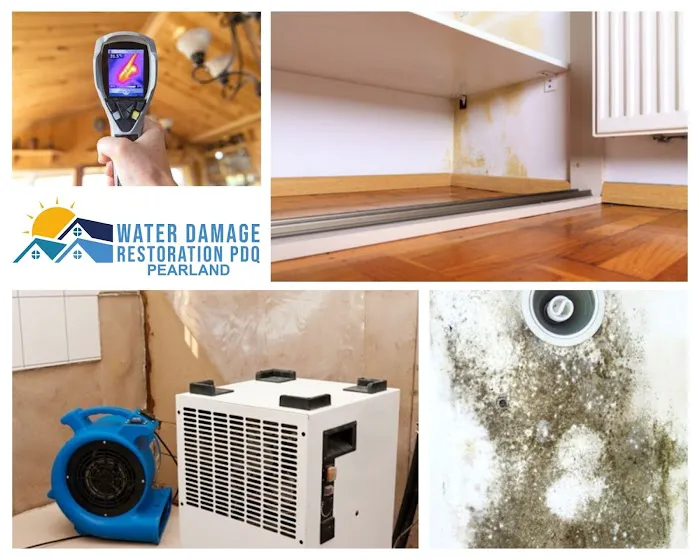 Water Damage Restoration PDQ of Pearland Picture 4