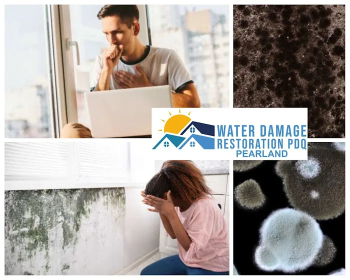 Water Damage Restoration PDQ of Pearland Picture 8