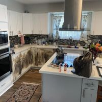 All Dry of Southeast Houston ico