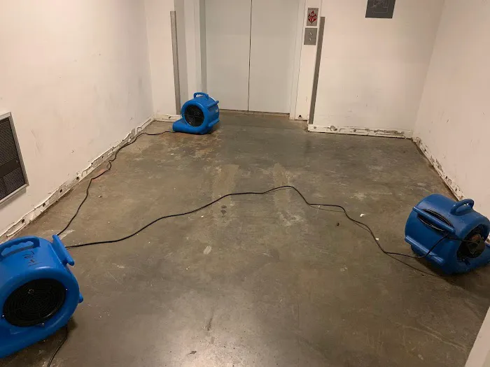 NEKO - Water Damage Restoration in Friendswood Picture 4