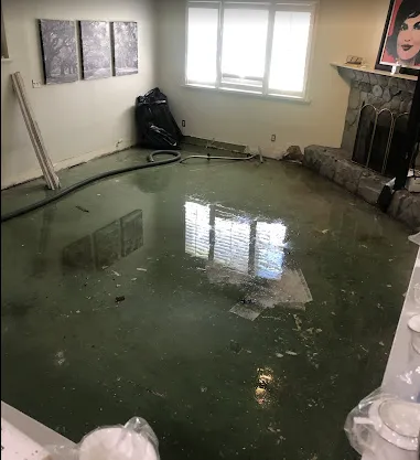 All Friendswood Damage Restoration Pro Picture 3