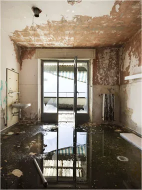 All Friendswood Damage Restoration Pro Picture 2