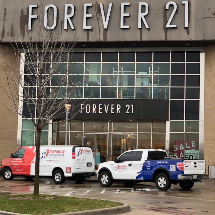 Rainbow Restoration of Webster Picture 10