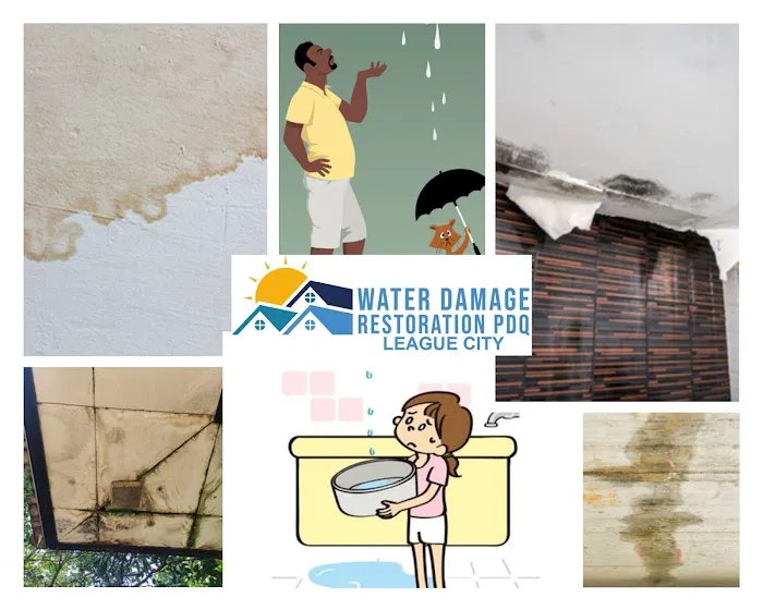 Water Damage Restoration PDQ of League City Picture 9