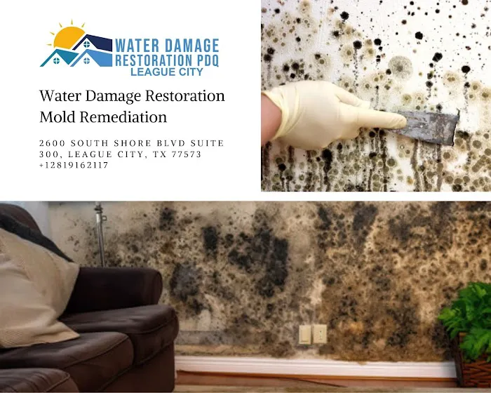 Water Damage Restoration PDQ of League City Picture 6