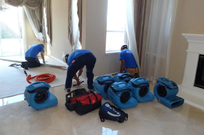 NEKO in Baytown Picture 2