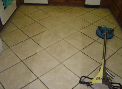 Tex A Clean Carpet Care LLC League City Picture 2