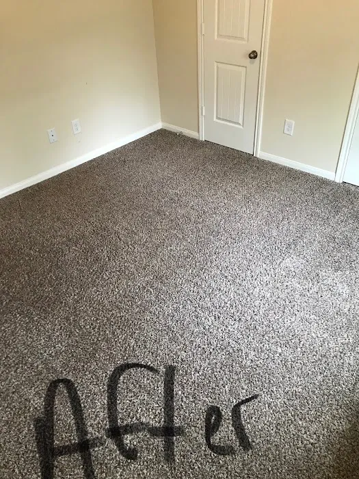 Tex A Clean Carpet Care LLC League City Picture 10