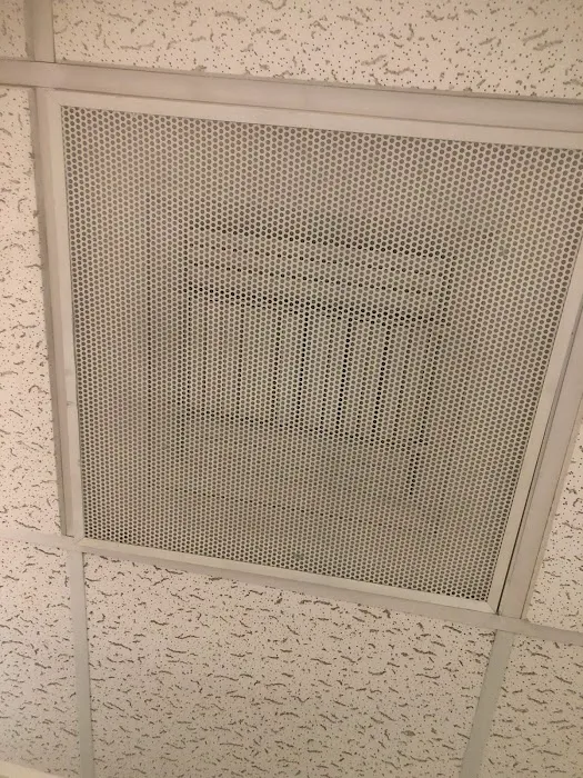 Tex A Clean Carpet Care LLC League City Picture 8