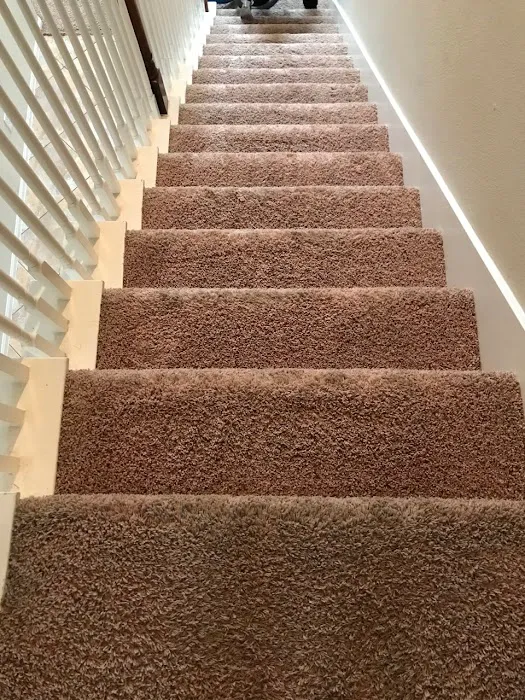 Tex A Clean Carpet Care LLC League City Picture 4