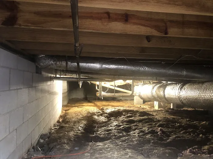 Crawl Space Brothers Picture 5