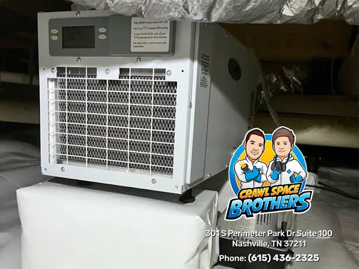 Crawl Space Brothers Picture 8