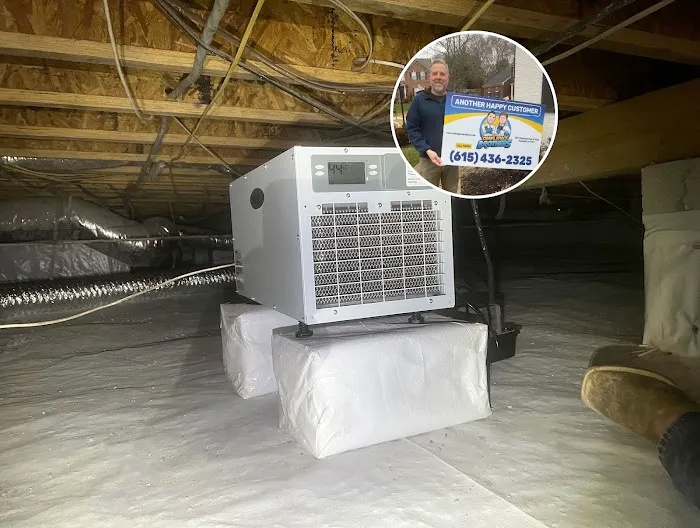 Crawl Space Brothers Picture 3