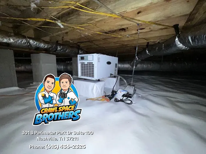 Crawl Space Brothers Picture 4