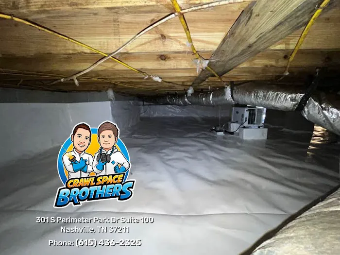 Crawl Space Brothers Picture 6