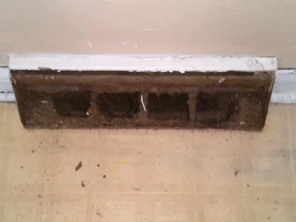 Dyna-Kleen Service Unlimited Picture 2