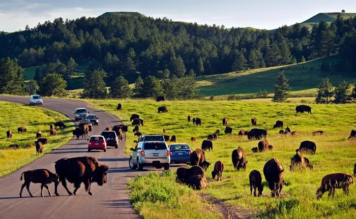 Mustang Disaster CleanUp Picture 2