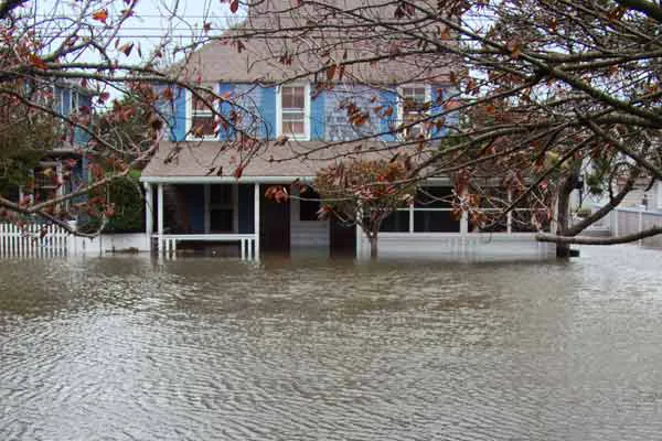 Mustang Disaster CleanUp Picture 4