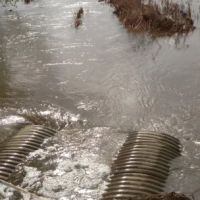 Mustang Disaster CleanUp ico