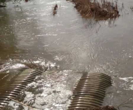 Mustang Disaster CleanUp