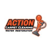 Action Carpet Cleaning ico