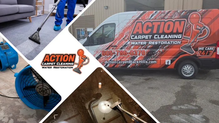 Action Carpet Cleaning Picture 2