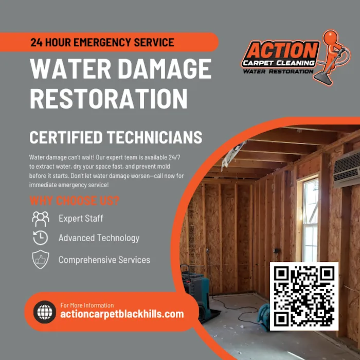 Action Carpet Cleaning Picture 5