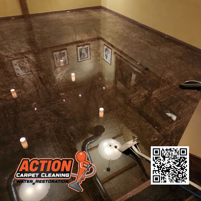 Action Carpet Cleaning Picture 4