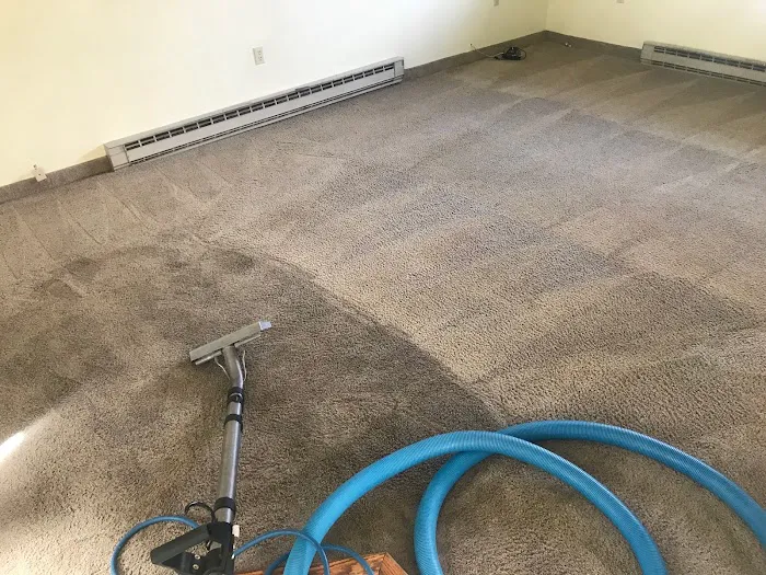 J&S Carpet Cleaning Picture 4