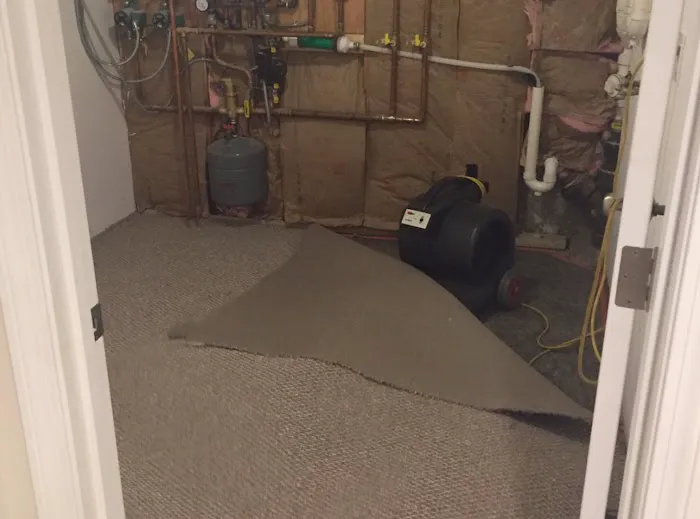 E-Z Clean LLC Picture 4