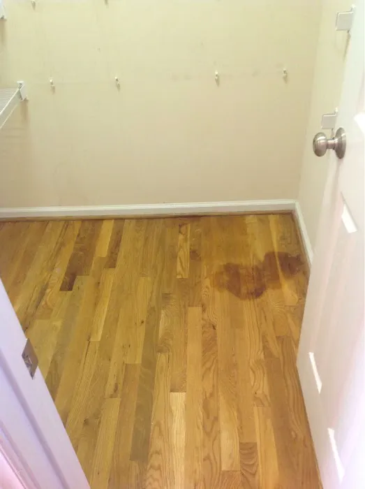 SERVPRO of East Raleigh, Zebulon, Knightdale Picture 6