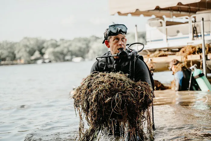 Waterfront Restoration Picture 8