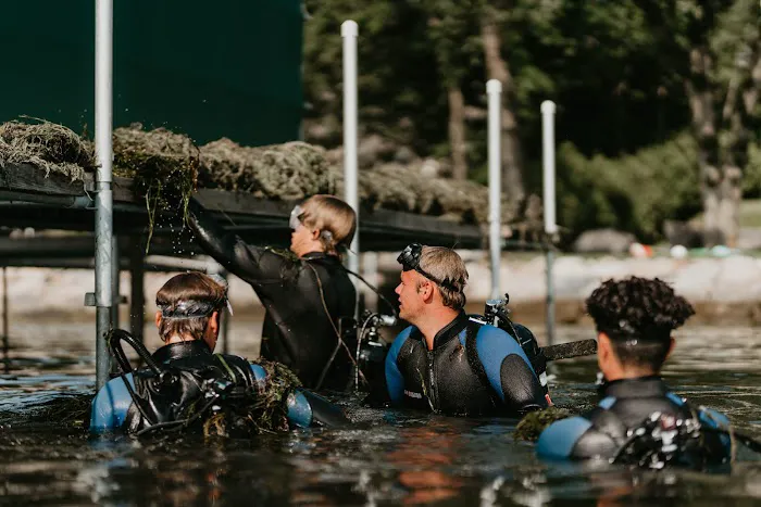 Waterfront Restoration Picture 1