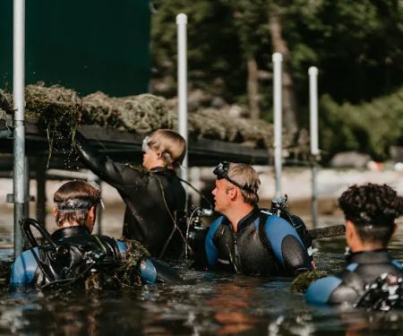 Waterfront Restoration