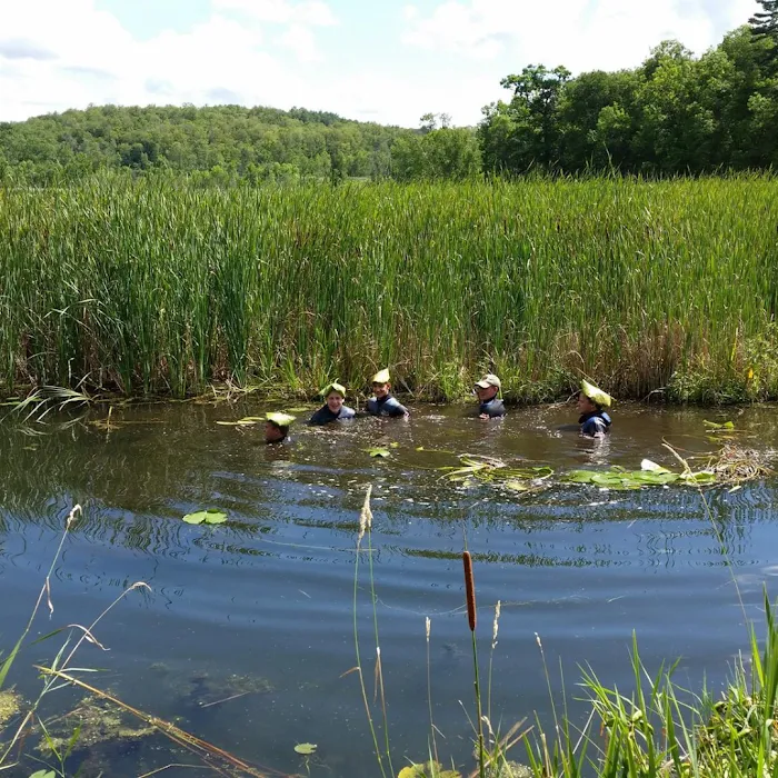 Waterfront Restoration Picture 5