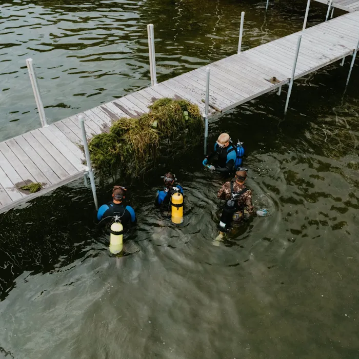 Waterfront Restoration Picture 9