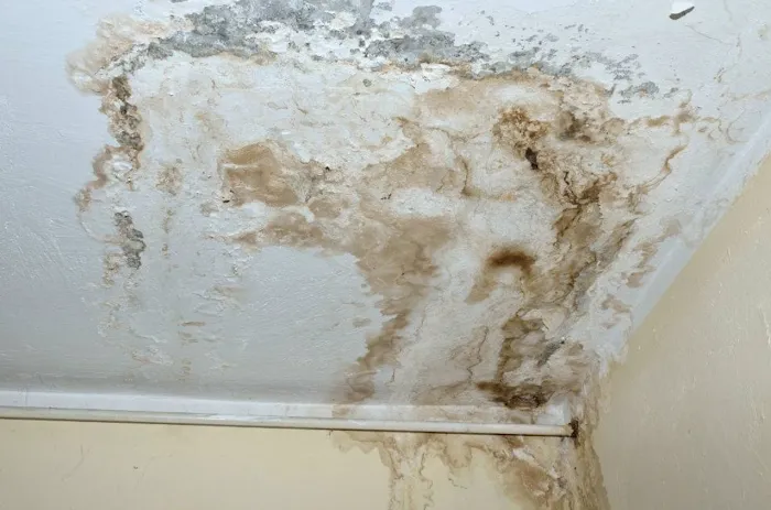 Prestige Water Damage Norcross Picture 2