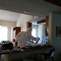 Prestige Water Damage Norcross ico