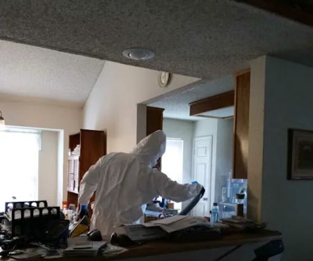 Prestige Water Damage Norcross