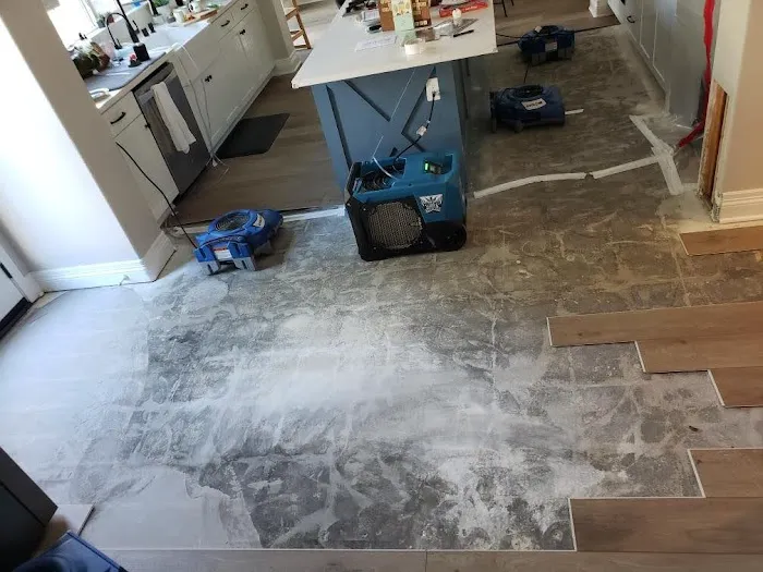 Blue Diamond Restoration Picture 5