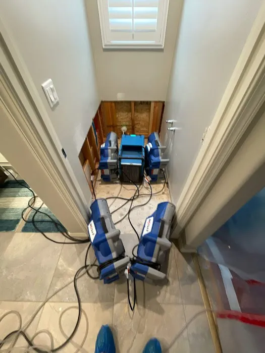 Blue Diamond Restoration Picture 1