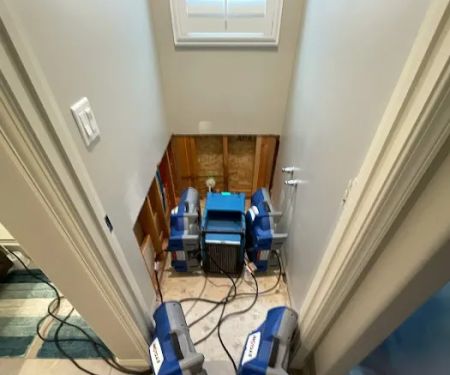 Blue Diamond Restoration