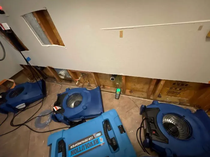 Blue Diamond Restoration Picture 10