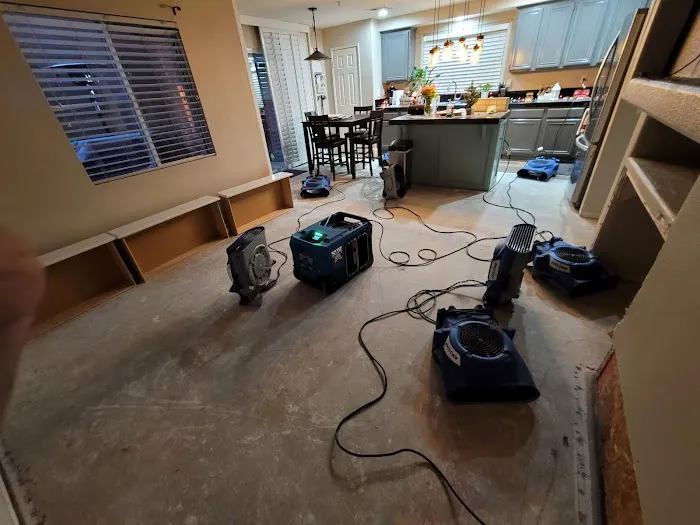 Blue Diamond Restoration Picture 8