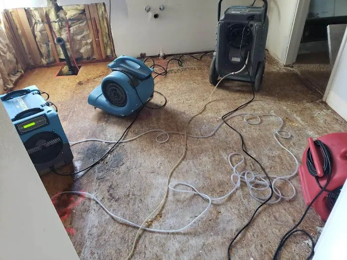 Blue Diamond Restoration Picture 7