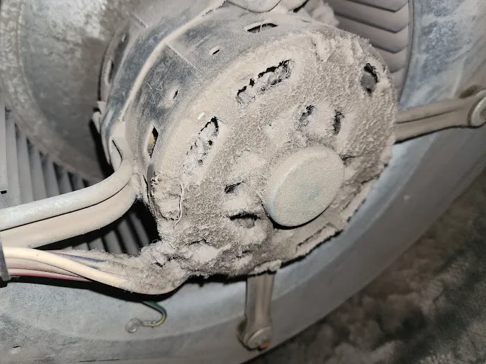 One&Done, LLC Picture 6